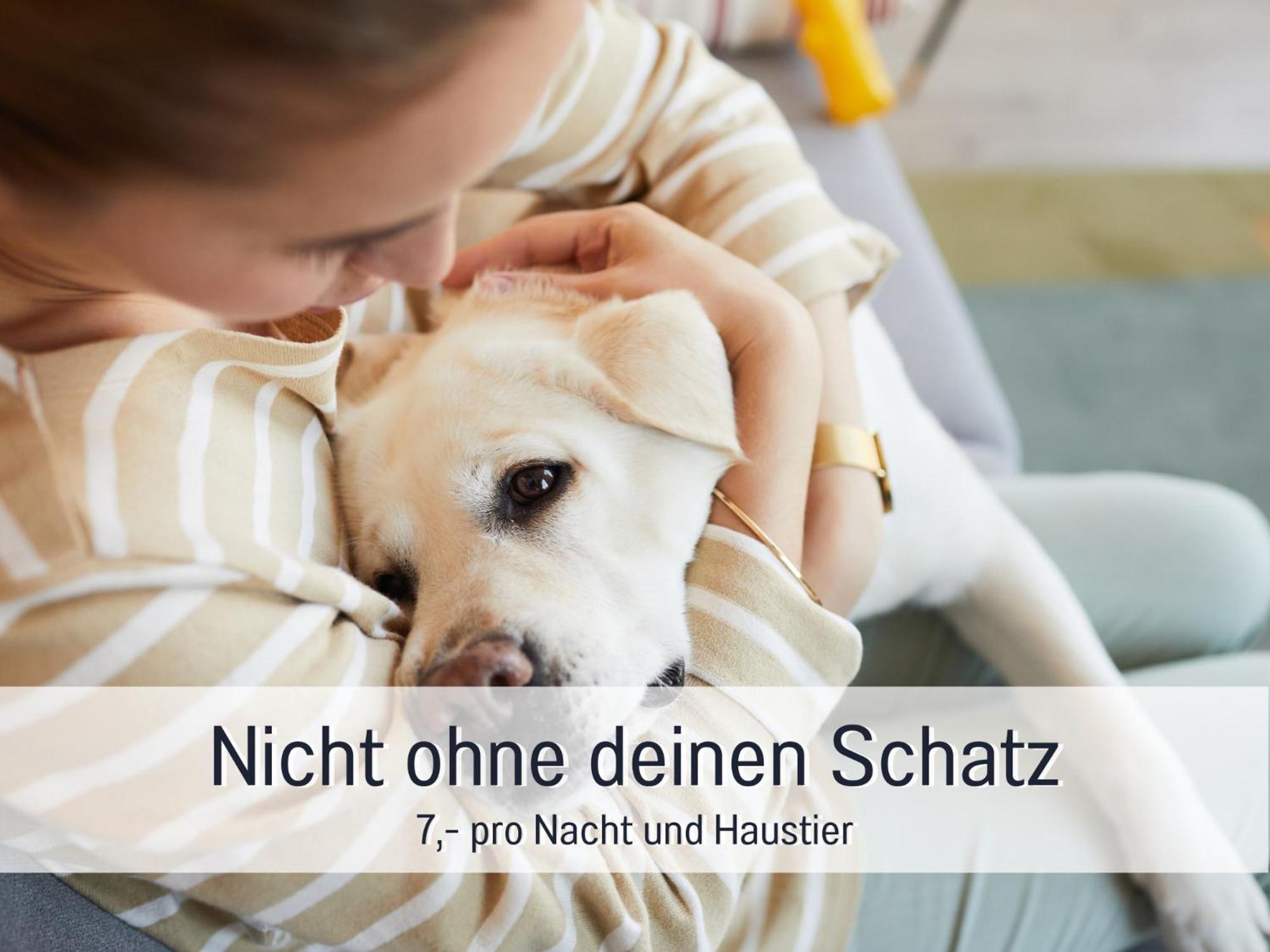Ferienloft Sternenblick: Beachside Pet-Friendly Retreat with Workation Amenities Steinberg  Exterior photo